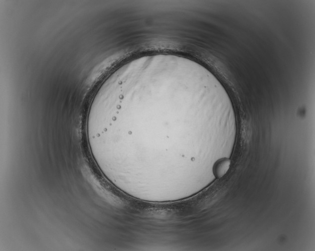 X0000116660629200912291638