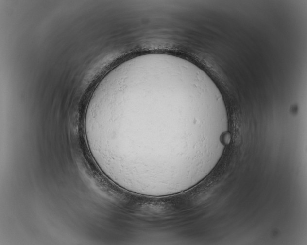 X0000116660631200912291638