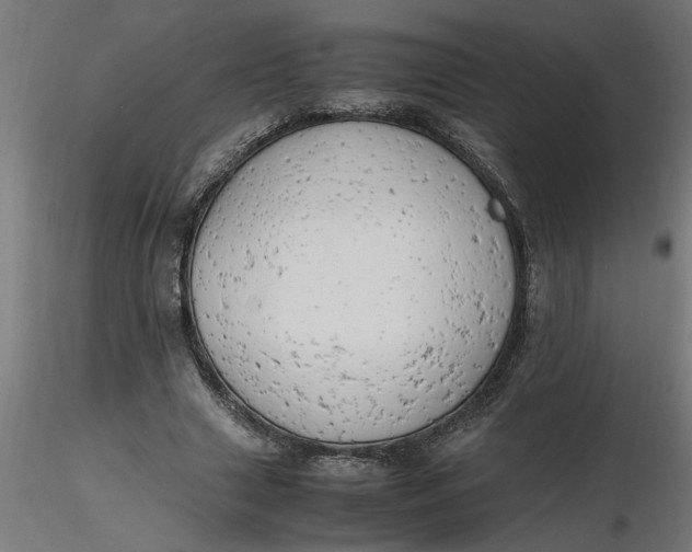 X0000116660633200912291638