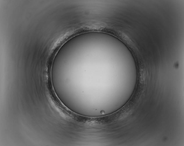 X0000116660634200912291638