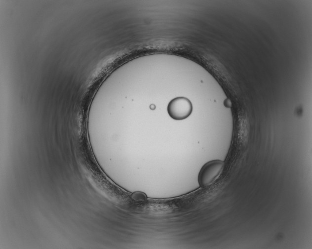 X0000116660636200912291638