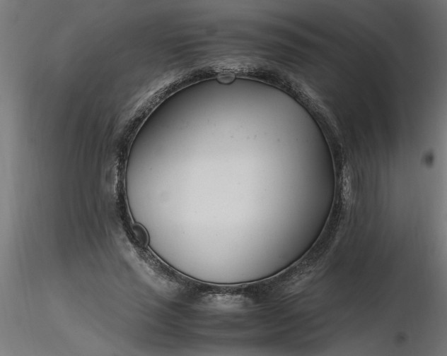 X0000116660637200912291638