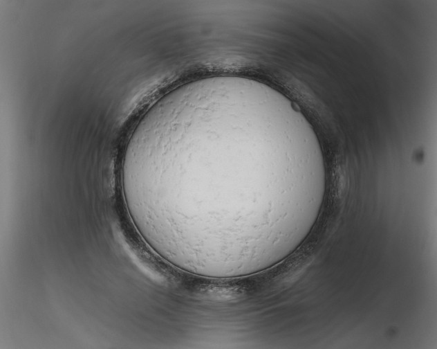 X0000116660638200912291638