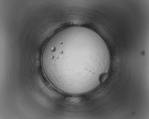 X0000116660639200912291638