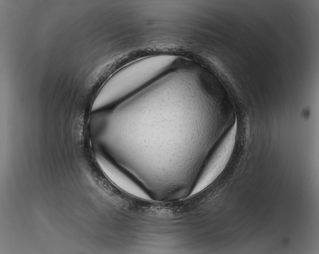 X0000116660640200912291638