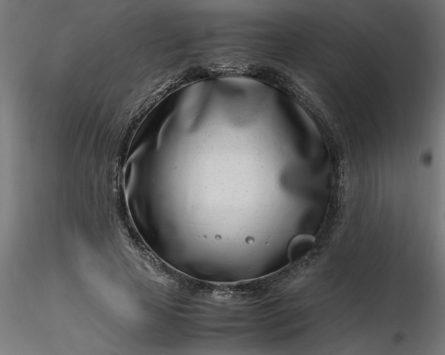 X0000116660641200912291638