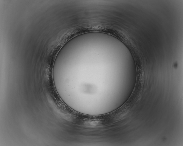 X0000116660643200912291638