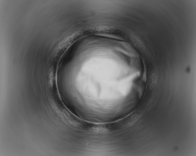 X0000116660644200912291638