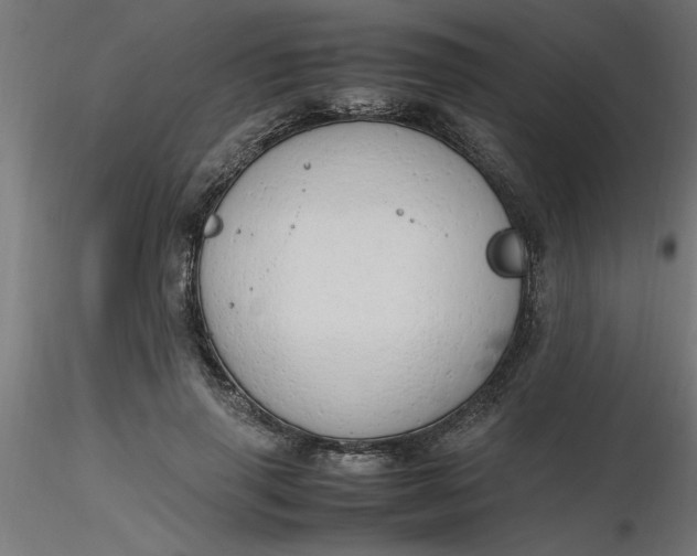 X0000116660645200912291638