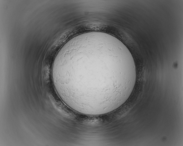 X0000116660646200912291638