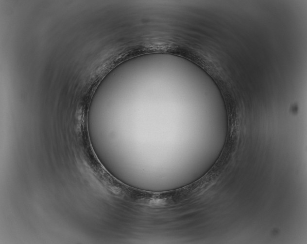 X0000116660647200912291638