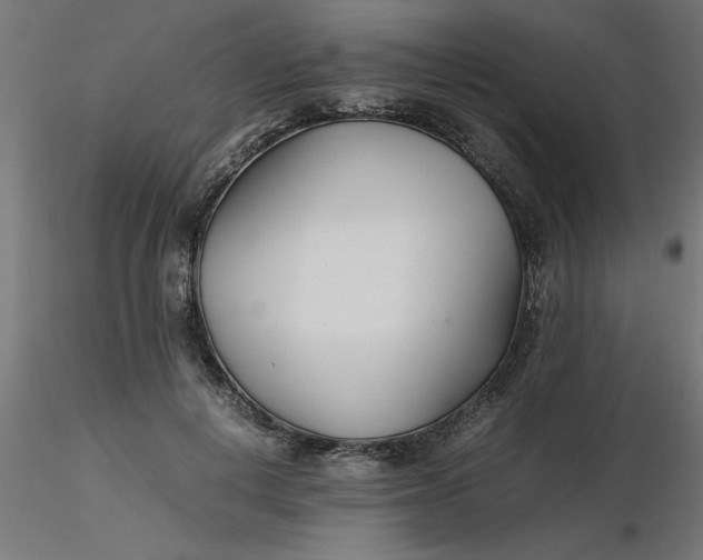 X0000116660648200912291638