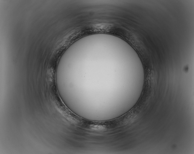 X0000116660649200912291638