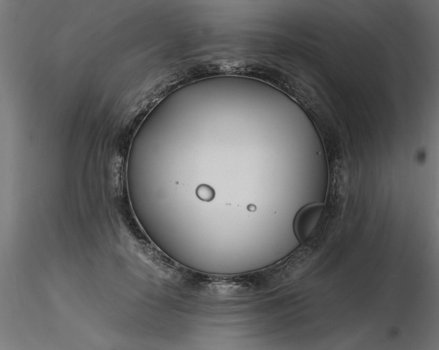 X0000116660650200912291638