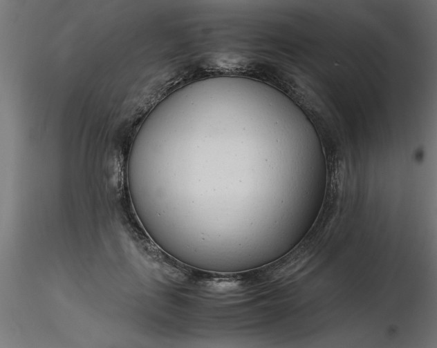 X0000116660651200912291638