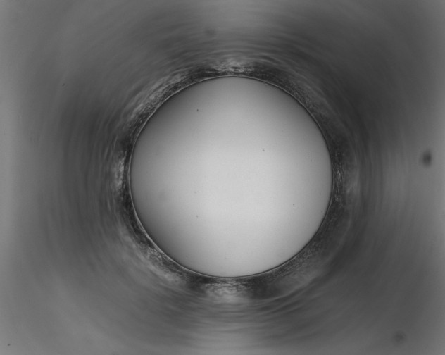 X0000116660652200912291638