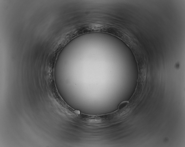 X0000116660653200912291638