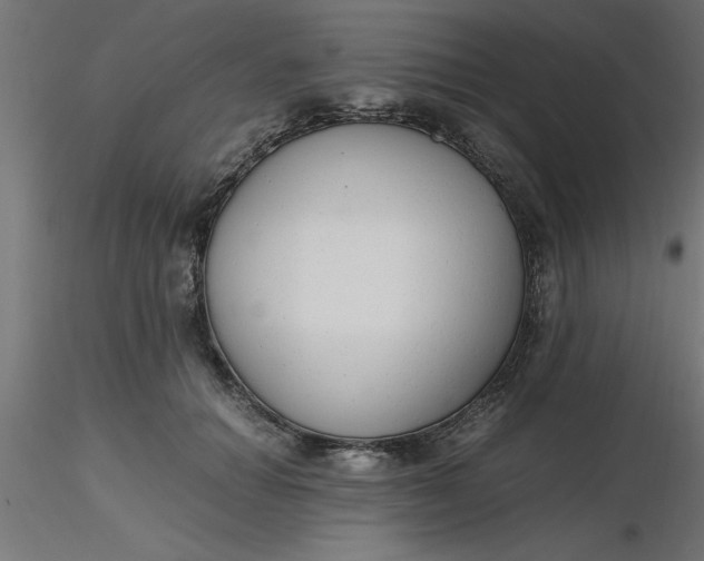 X0000116660654200912291638