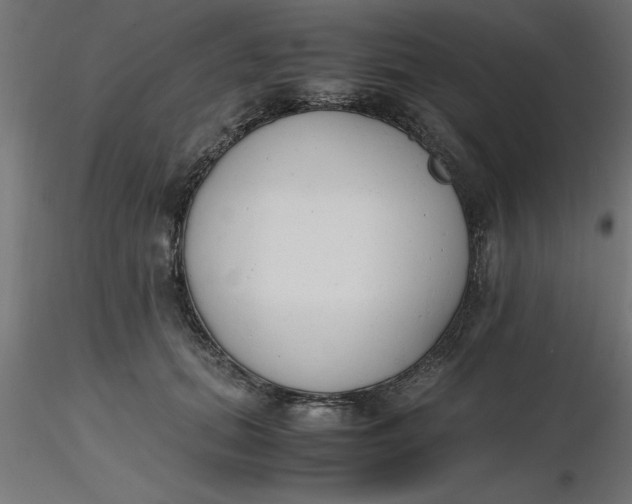 X0000116660655200912291638