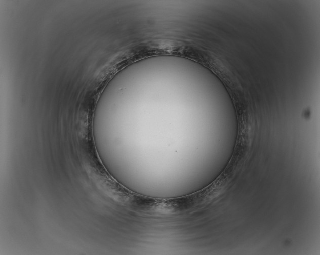 X0000116660656200912291638