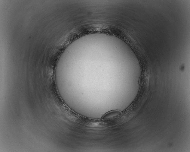 X0000116660657200912291638