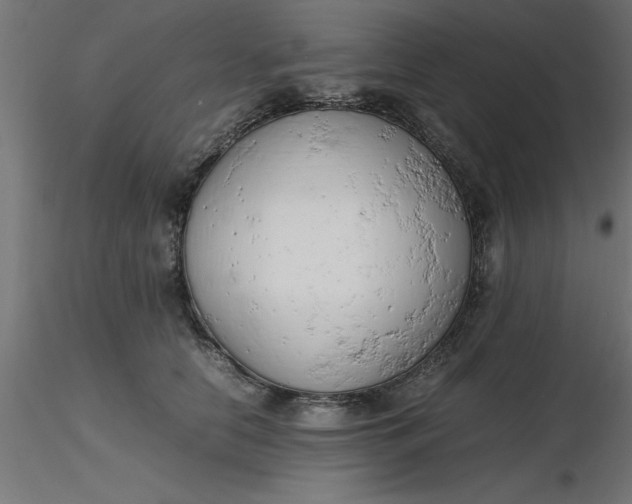 X0000116660658200912291638