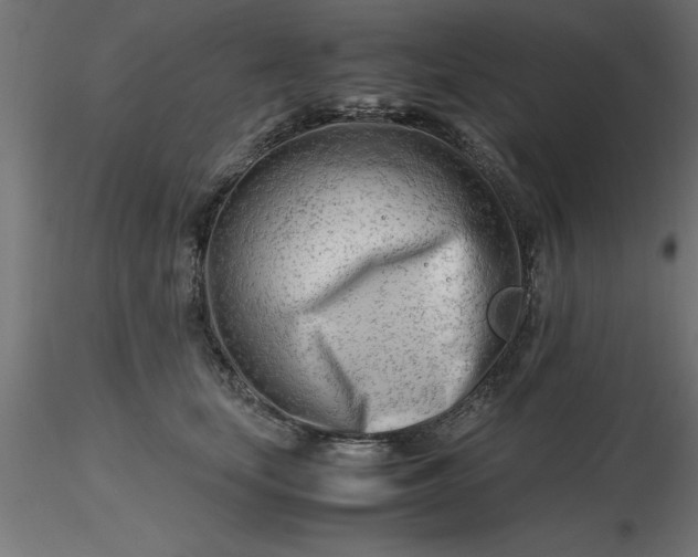 X0000116660659200912291638