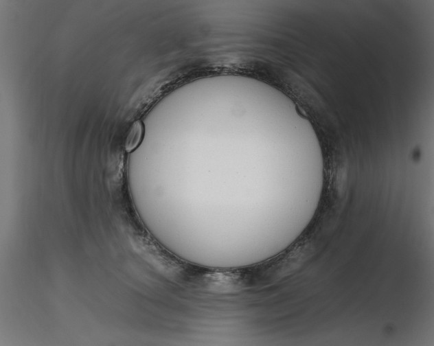 X0000116660660200912291638