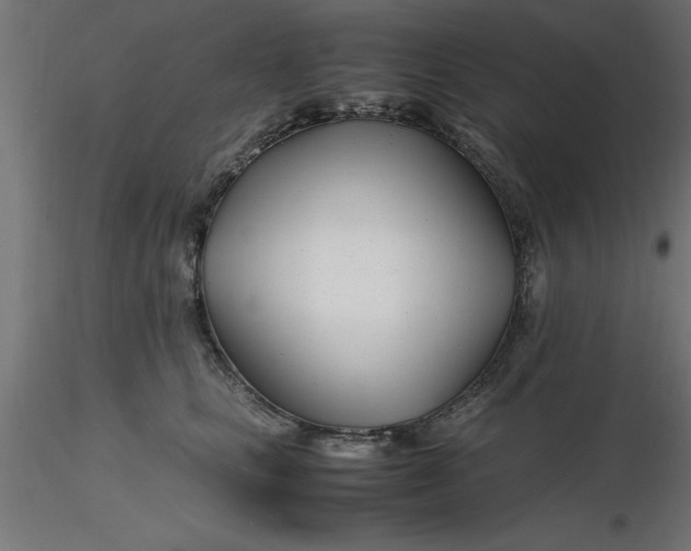 X0000116660661200912291638