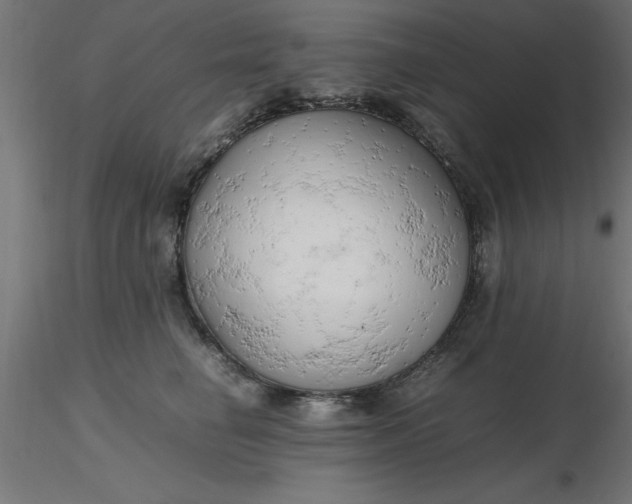 X0000116660662200912291638