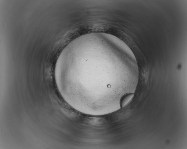 X0000116660663200912291638