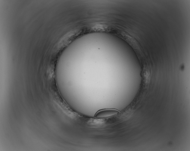 X0000116660665200912291638