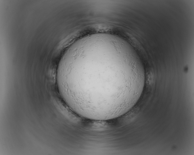 X0000116660666200912291638