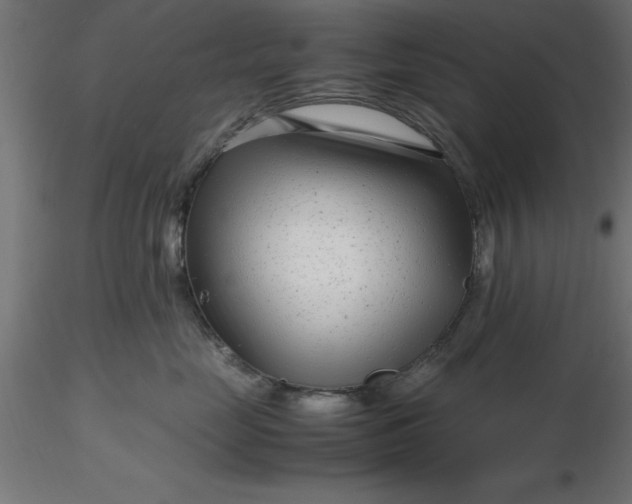 X0000116660669200912291638