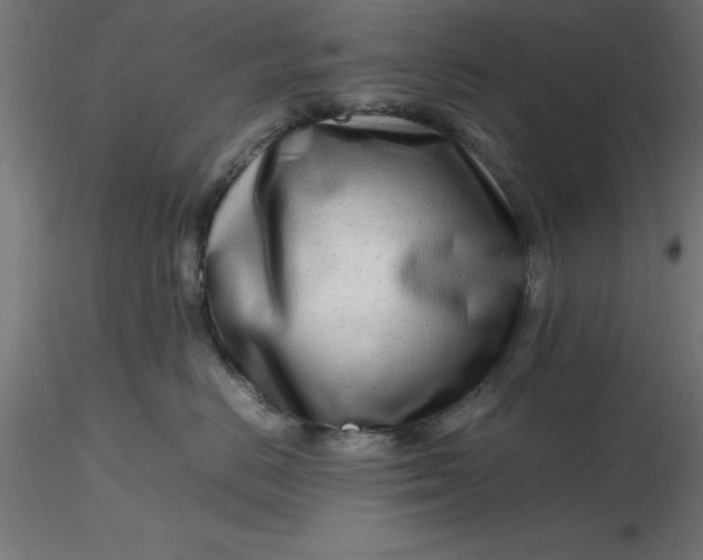 X0000116660670200912291638