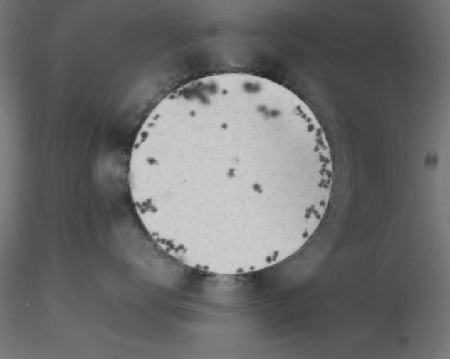 X0000116660672200912291638