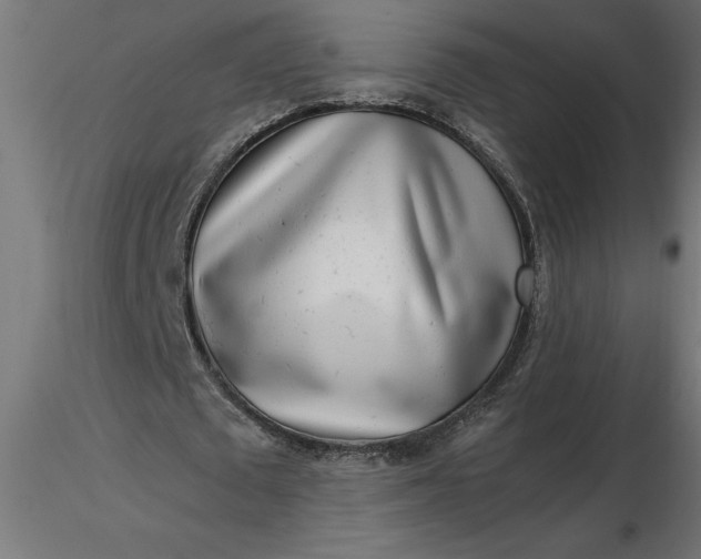 X0000116660673200912291638