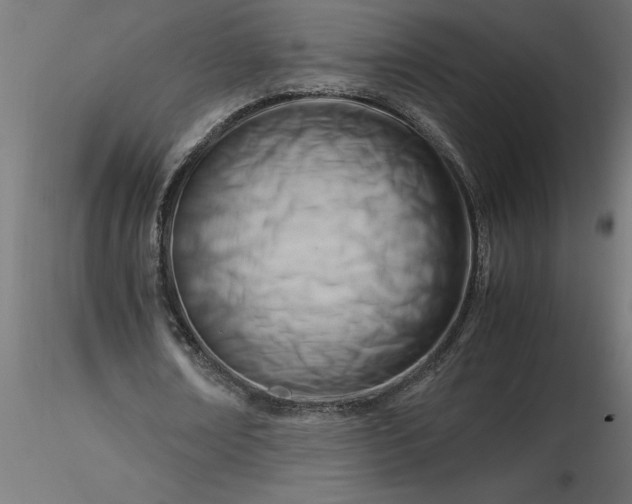 X0000116660674200912291638