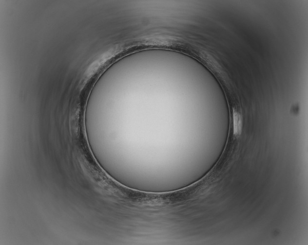 X0000116660675200912291638