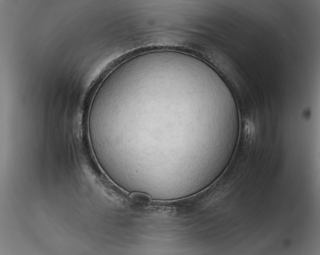 X0000116660676200912291638