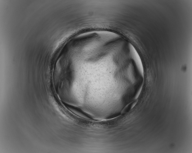 X0000116660677200912291638