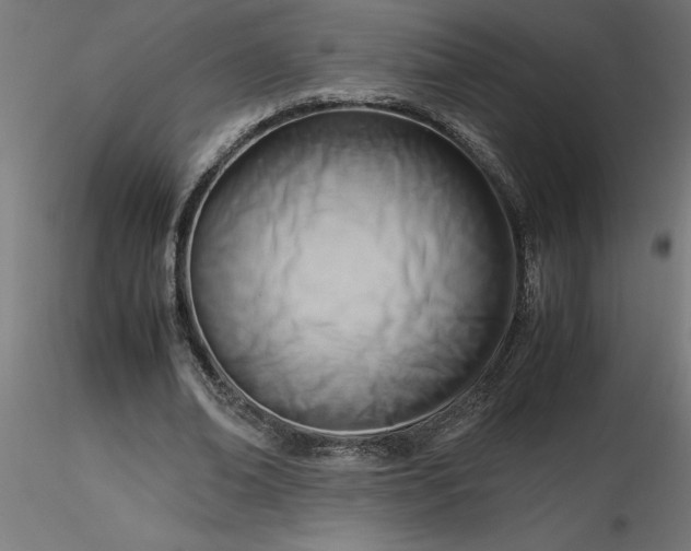 X0000116660678200912291638