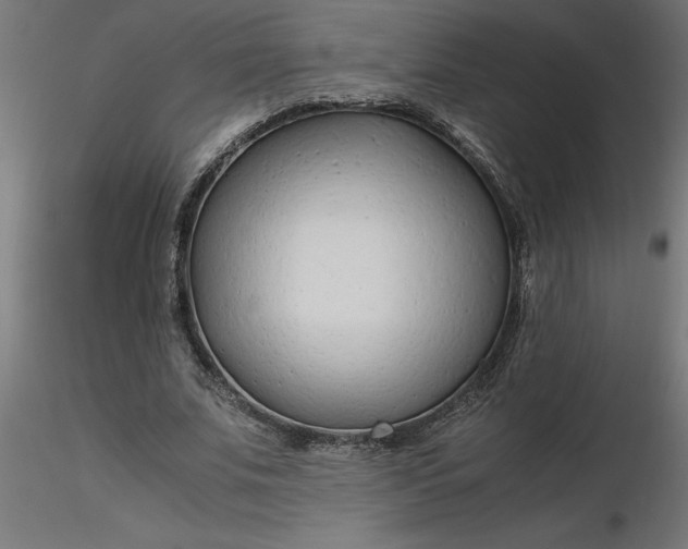 X0000116660679200912291638