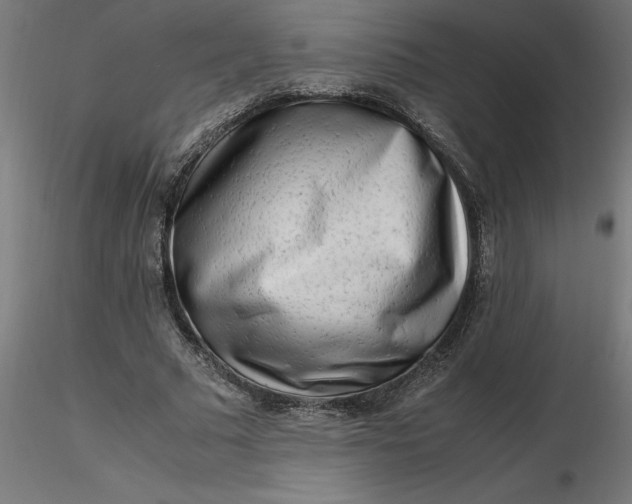 X0000116660681200912291638