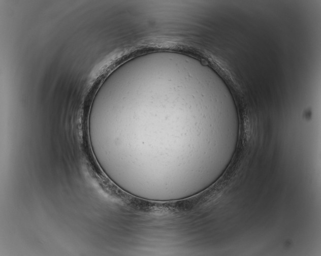 X0000116660682200912291638