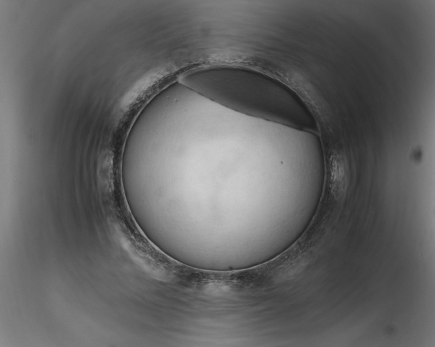 X0000116660684200912291638