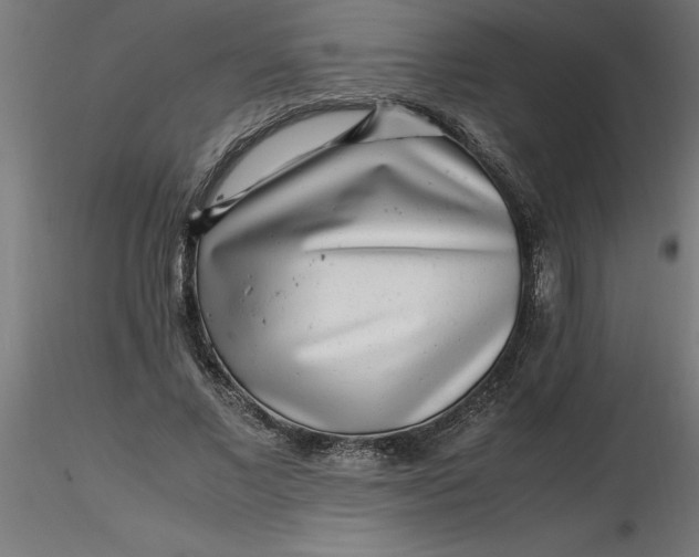 X0000116660685200912291638