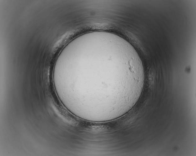 X0000116660686200912291638