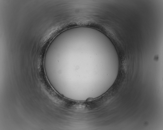 X0000116660687200912291638