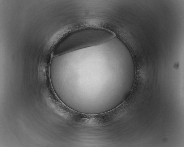 X0000116660688200912291638